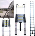 Telescoping Extension Ladder